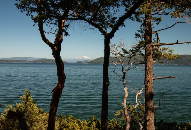 Upright Channel Beach Access, Washington, USA